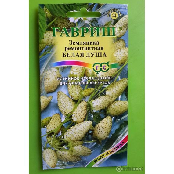 Семена Гавриш Земляника Белая душа 0,03г