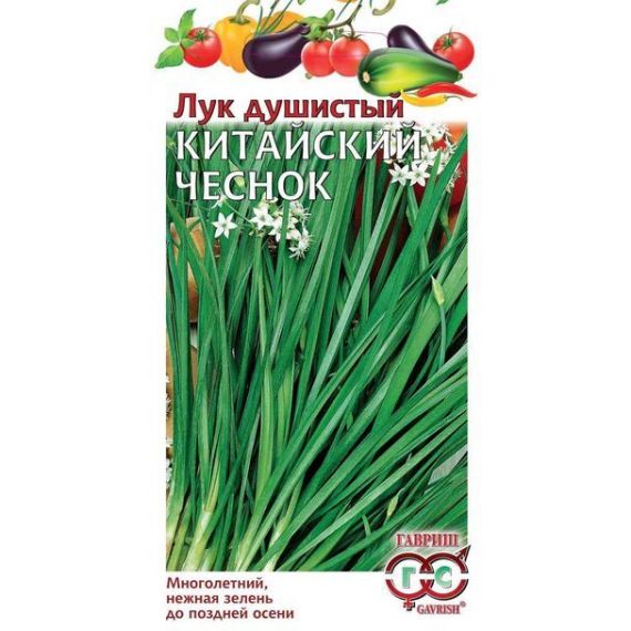Семена ГАВРИШ ЛУК душистый Китайский чеснок 3785-1