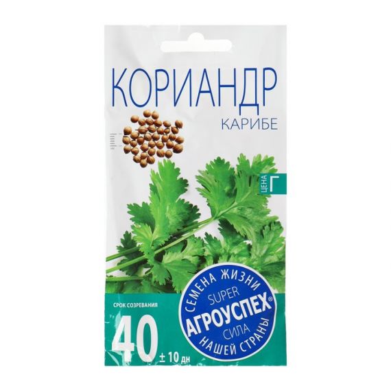 Семена АГРОУСПЕХ КОРИАНДР КАРИБЕ 5г  66720/211005