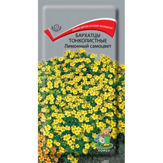 Семена ПОИСК Бархацы Лимонный самоцвет 0,1г