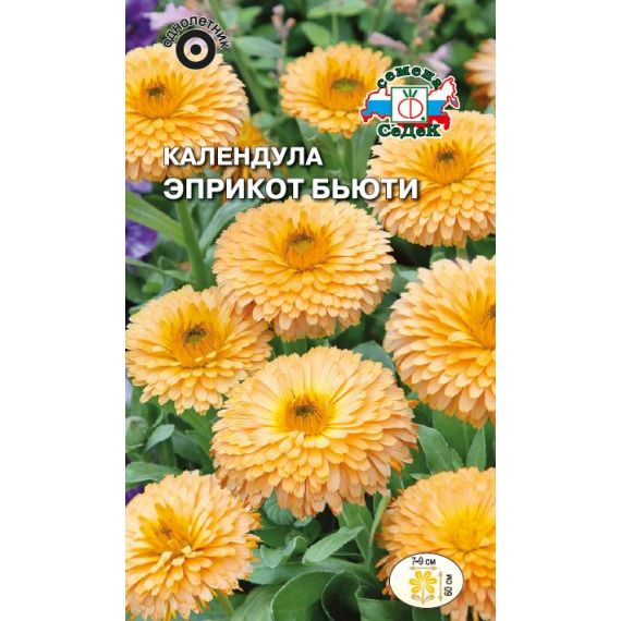 Семена СЕДЕК КАЛЕНДУЛА  ЭПРИКОТ БЬЮТИ абрикосовая  214563