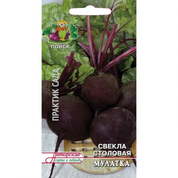 Семена ПОИСК СВЕКЛА Мулатка