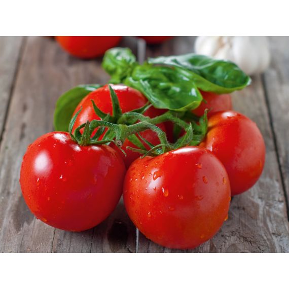 Томат  d12, изображение 3