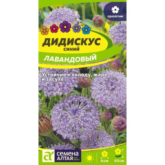Семена Алтая Дидискус синий Лавандовый 0,1г