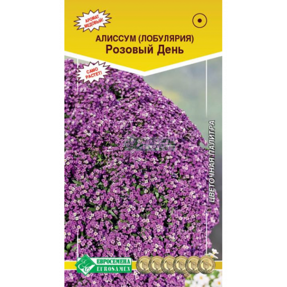 Семена Евросемена Лобулярия морская (алиссум) Розовый день 0,1г