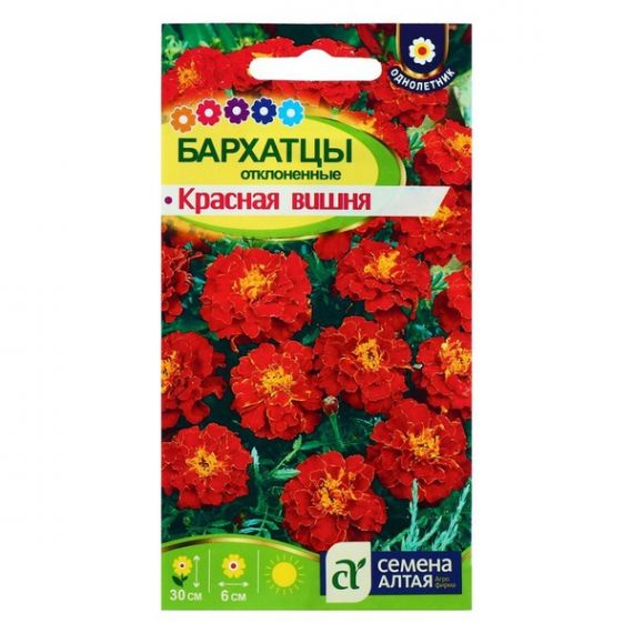 Семена Алтая Бархатцы Красная вишня 0,2г