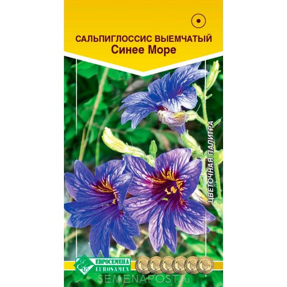 Семена Евросемена Сальпиглоссис выемчатый Синее море 0,02г