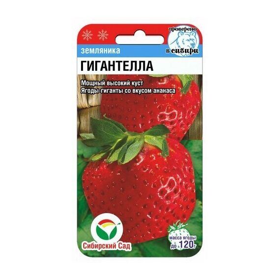 Семена Сибирский Сад Земляника Гигантелла 10шт