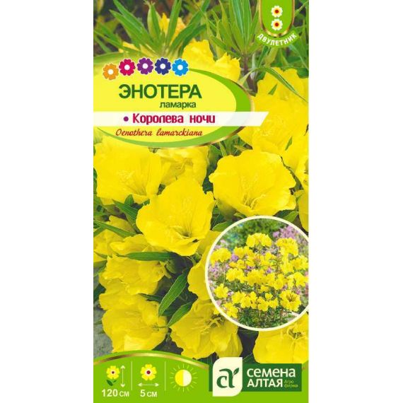 Семена Алтая Энотера Ламарка Королева ночи 0,3г