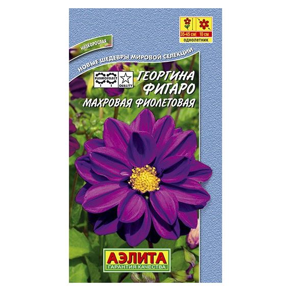 Семена АЭЛИТА Георгин ФИГАРО ФИОЛЕТОВАЯ 7шт