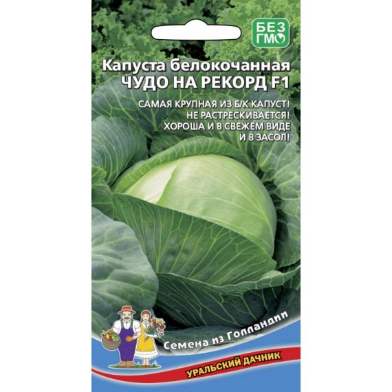 Семена Уральский Дачник Капуста б/к Чудо на рекорд F1 0,3г