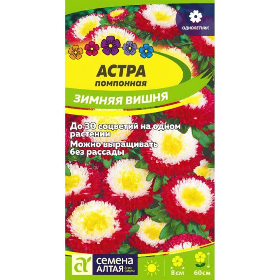 Семена Алтая Астра помпонная Зимняя вишня 0,2г