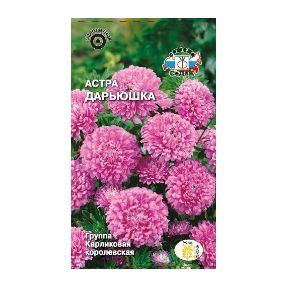 Семена СеДеК Астра Дарьюшка 0,2г