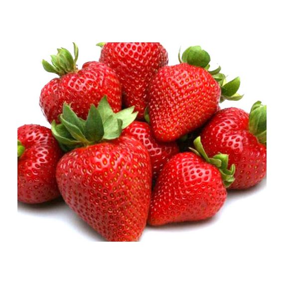 Земляника 5 шт. в ассортименте, изображение 5