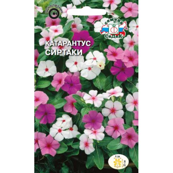 Семена СеДеК Катарантус Сиртаки 0,1г