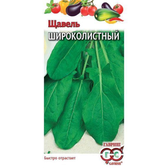 Семена ГАВРИШ ЩАВЕЛЬ Широколистный 0,2г