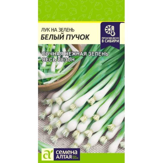 Семена Алтая Лук на зелень Белый пучок 0,5г