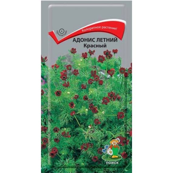 Семена ПОИСК Адонис летний Красный 0,3г