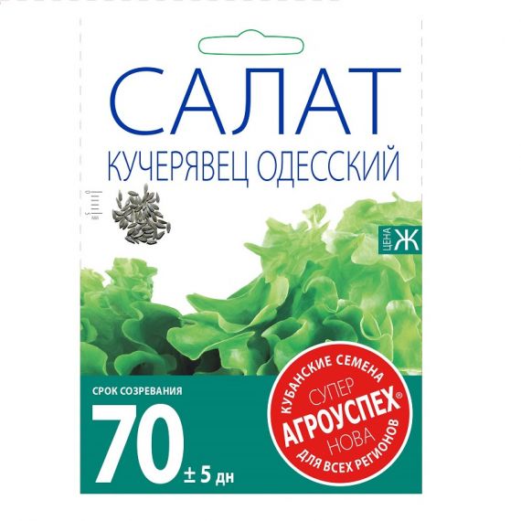 Семена АГРОУСПЕХ САЛАТ КУЧЕРЯВЕЦ Одесский 1г  55565/2360-1/211026