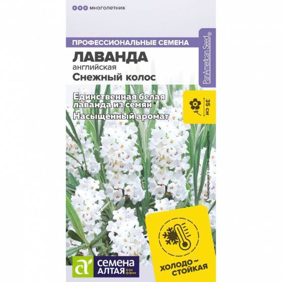 Семена Алтая Лаванда английская Снежный колос 5шт