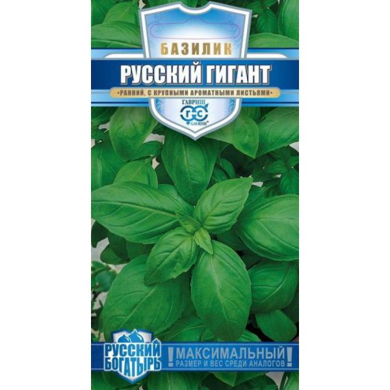 Семена ГАВРИШ Базилик зеленый Русский гигант 0,1г РБ