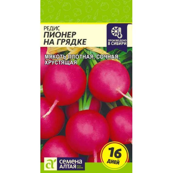 Семена Алтая Редис Пионер на грядке 1г