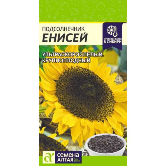 Семена Алтая Подсолнечник кондитерский Енисей 10г