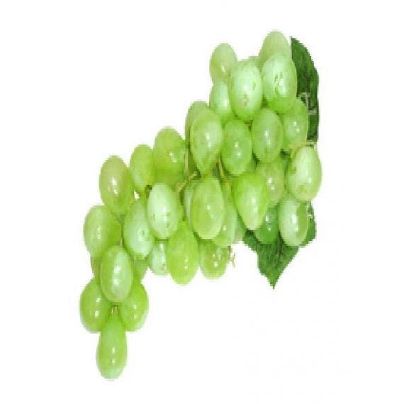 Ветка винограда (Н-30см) W-4295, изображение 2