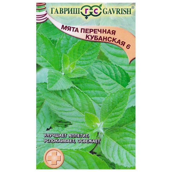 Семена ГАВРИШ МЯТА Кубанская 6 0,05г