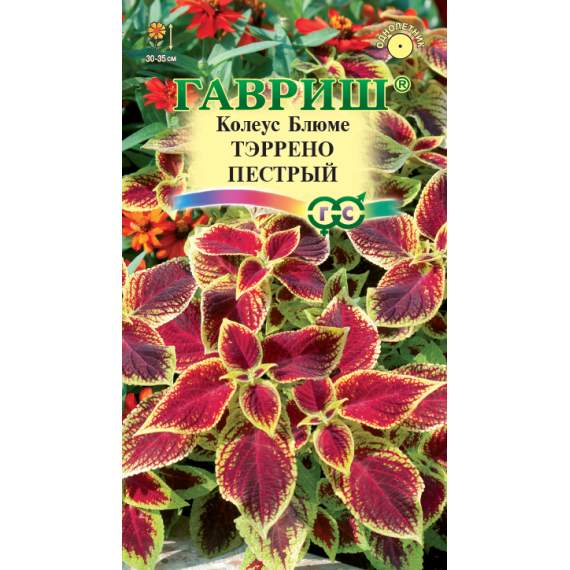 Семена Гавриш Колеус Блюме Тэррено пёстрый 4шт
