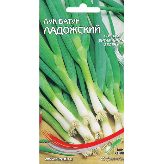 Семена Дом Семян Лук батун Ладожский 150шт