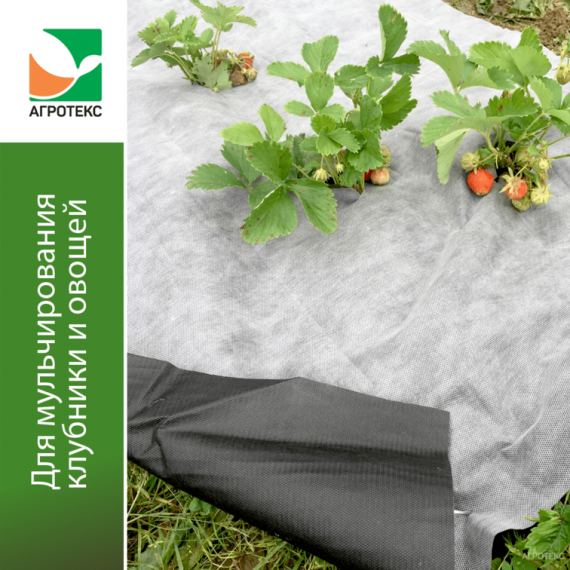 Соединитель для шланга 3/4"-1" пластик  2710304, изображение 2