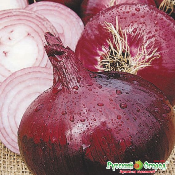 Семена РУССКИЙ ОГОРОД Лук репчатый Кармен МС 1г  302250, изображение 2