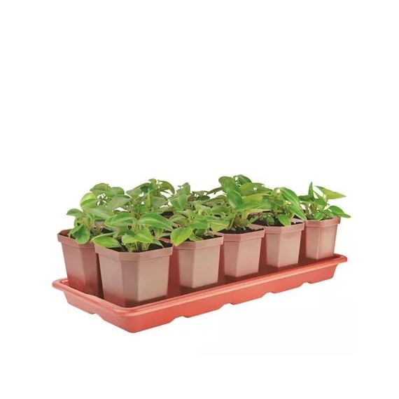 Набор для рассады АЛЬТЕРНАТИВА 410х170х90  47573