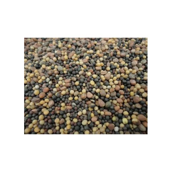 Смесь редька+рапс+горчица 500гр