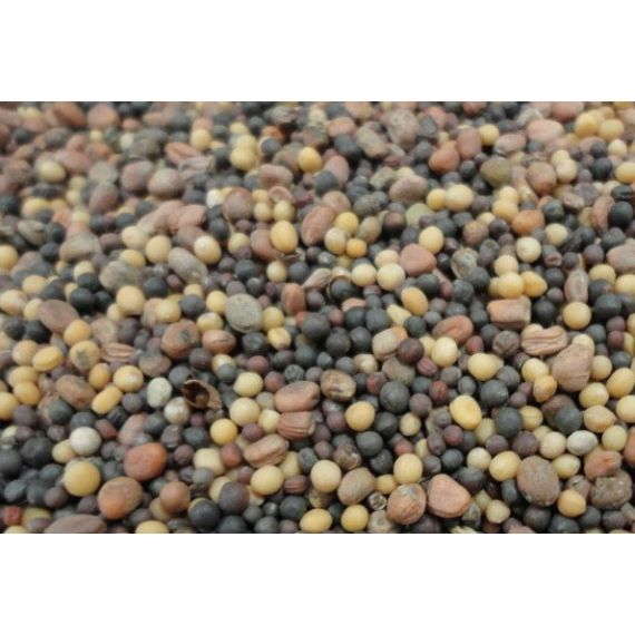 Смесь рапс+горчица 500гр Смесь рапс+горчица 500гр