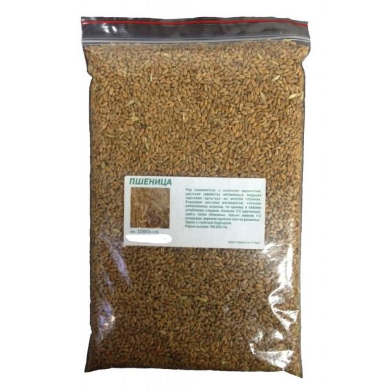 Пшеница 1кг Сидерат Пшеница 1кг Сидерат