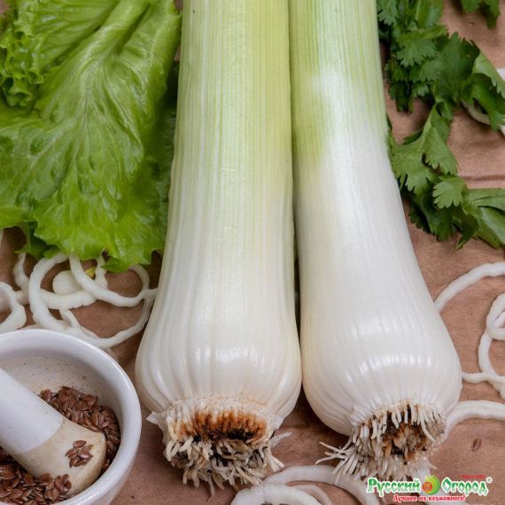 Семена РУССКИЙ ОГОРОД Лук порей Русский размер 50шт  777602