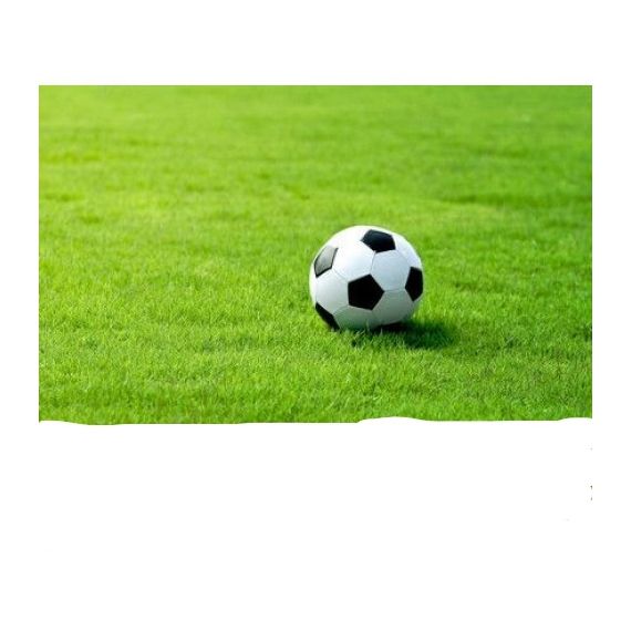 Газон смесь-Спортивная 10кг