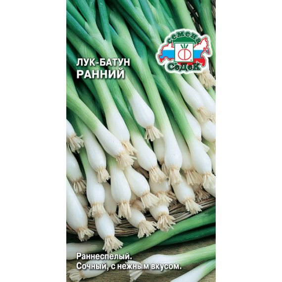 Семена СеДеК Лук батун Ранний 1г