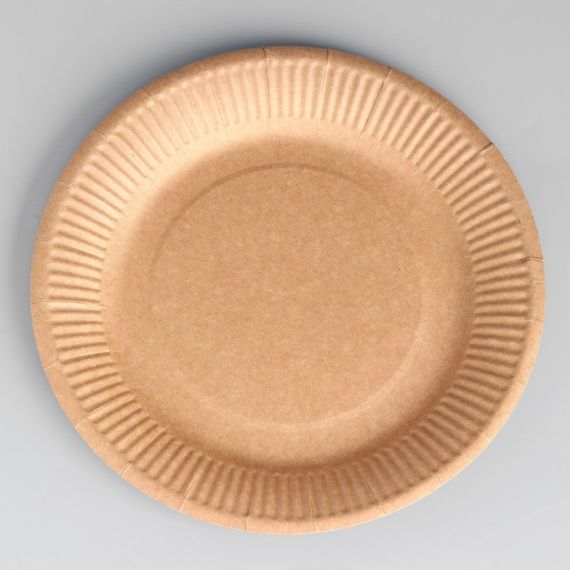Тарелка одноразовая «Крафт» картон, 23 см 9302713