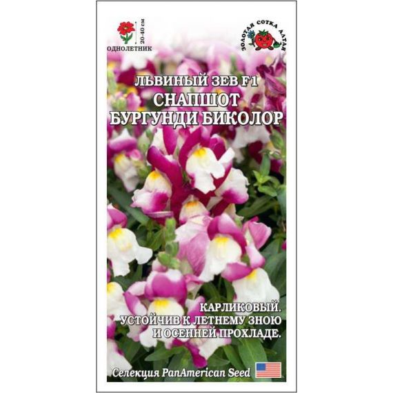 Семена Золотая Сотка Алтая Львиный зев карликовый Снапшот Бургунди Биколор F1 10шт