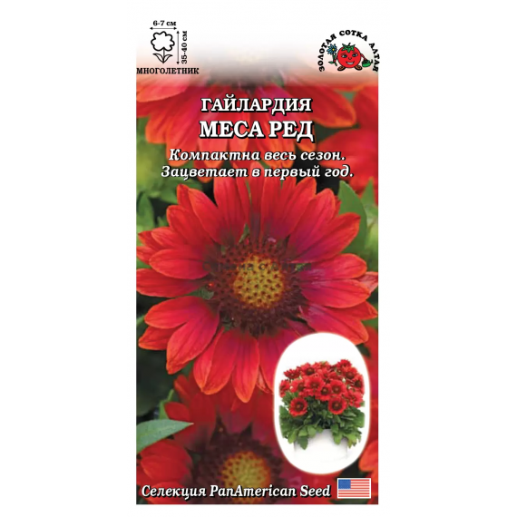 Семена Золотая Сотка Алтая Гайлардия Меса Ред 5шт