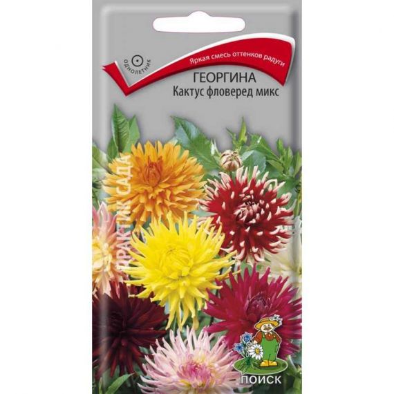 Семена ПОИСК Георгина Кактус фловеред микс