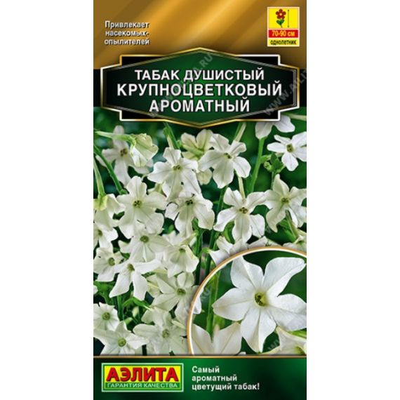 Семена Аэлита Табак душистый крупноцветковый Ароматный 0,05г