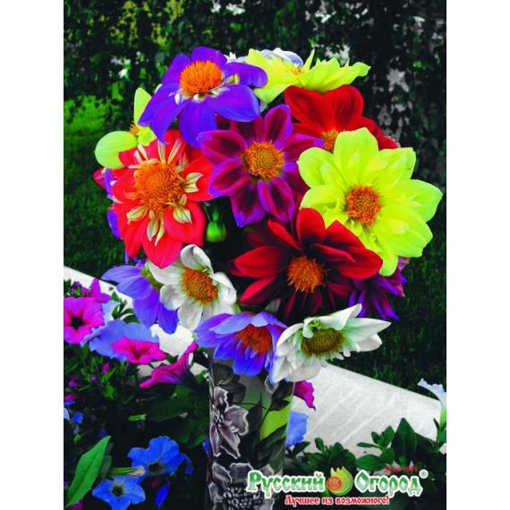 Семена РУССКИЙ ОГОРОД Георгина Веселые ребята смесь 0,3г  702540