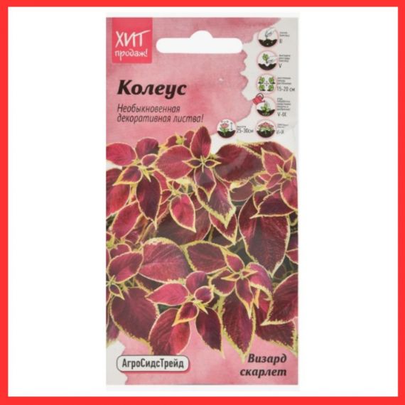 Семена АСТ Колеус Визард скарлет 10шт, изображение 2