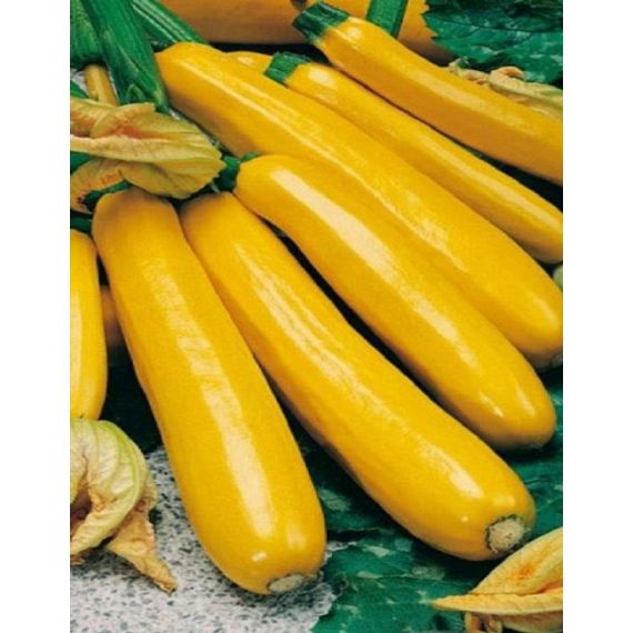 Семена АСТ Кабачок цукини Золотинка 10шт