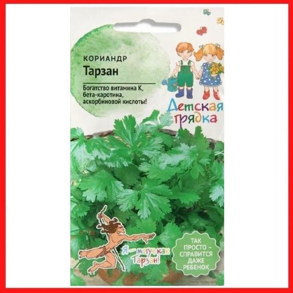 Семена АСТ Кориандр (кинза) Тарзан 1г, изображение 2