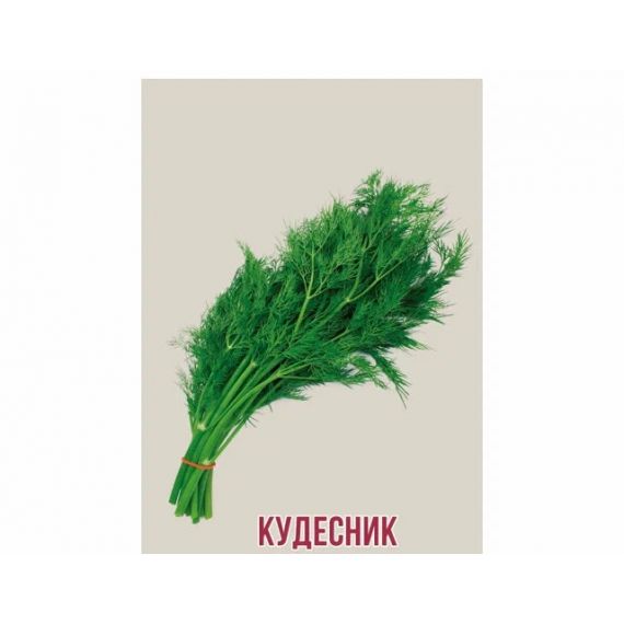 Семена АСТ Укроп Кудесник 2г
